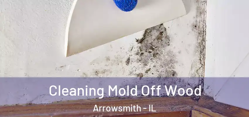  Cleaning Mold Off Wood Arrowsmith - IL