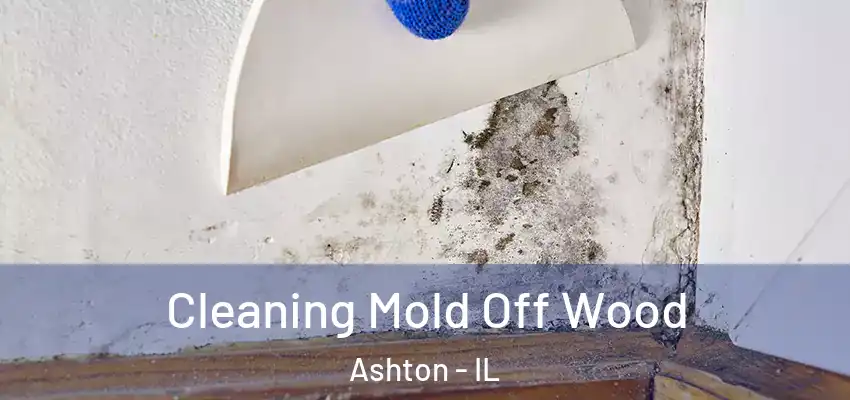 Cleaning Mold Off Wood Ashton - IL