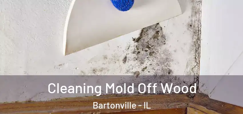  Cleaning Mold Off Wood Bartonville - IL