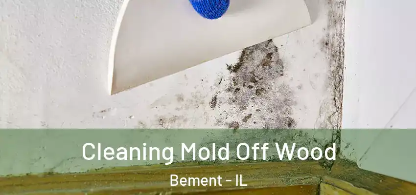  Cleaning Mold Off Wood Bement - IL