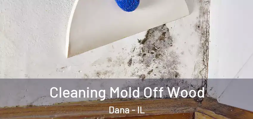  Cleaning Mold Off Wood Dana - IL
