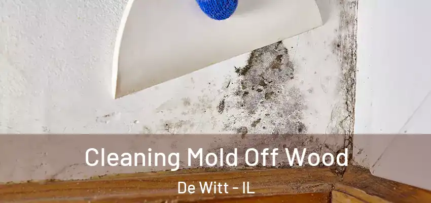  Cleaning Mold Off Wood De Witt - IL