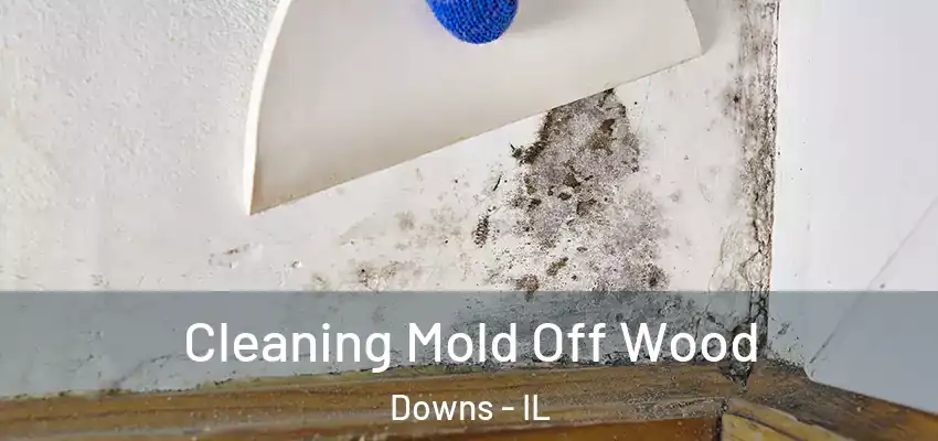  Cleaning Mold Off Wood Downs - IL