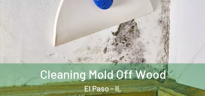  Cleaning Mold Off Wood El Paso - IL