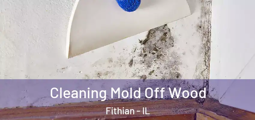  Cleaning Mold Off Wood Fithian - IL