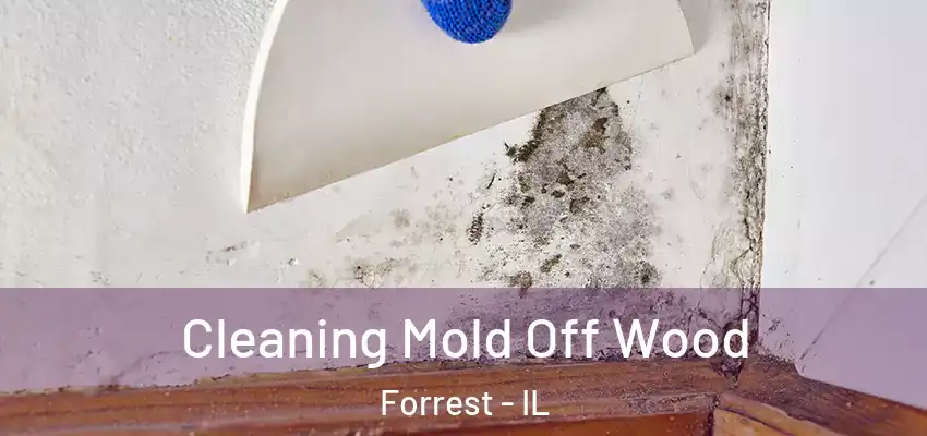  Cleaning Mold Off Wood Forrest - IL
