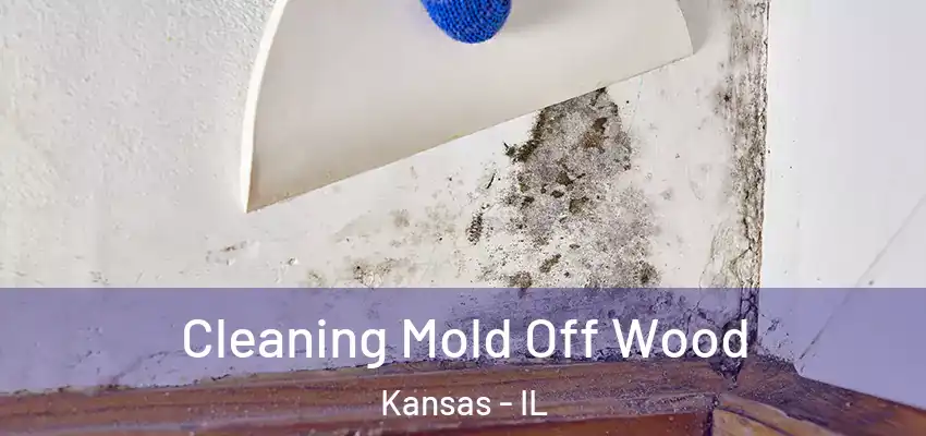  Cleaning Mold Off Wood Kansas - IL