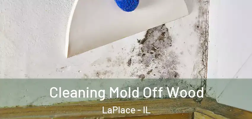  Cleaning Mold Off Wood LaPlace - IL