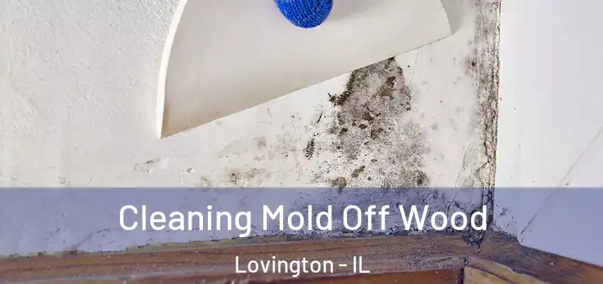  Cleaning Mold Off Wood Lovington - IL