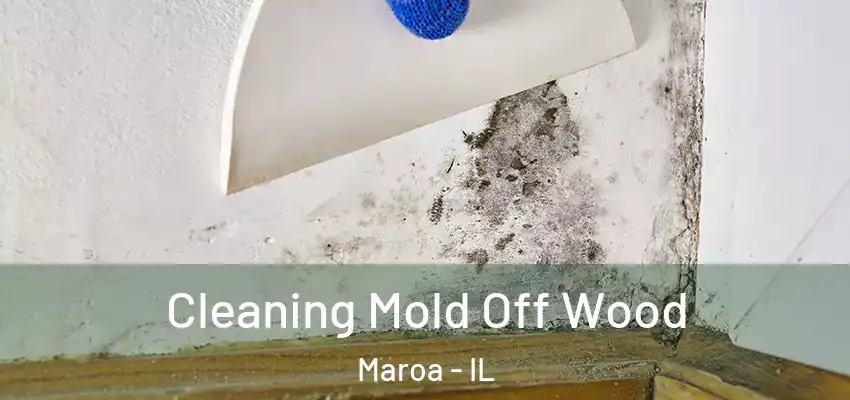  Cleaning Mold Off Wood Maroa - IL