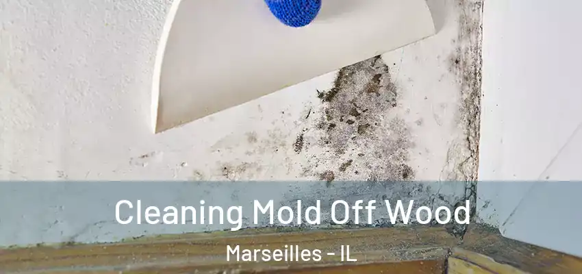  Cleaning Mold Off Wood Marseilles - IL
