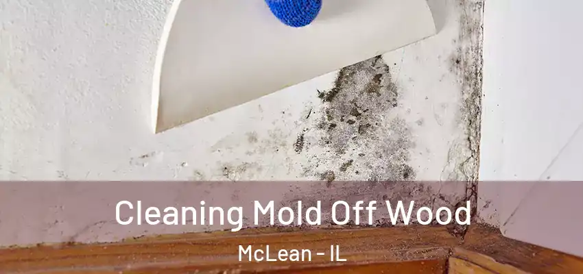  Cleaning Mold Off Wood McLean - IL