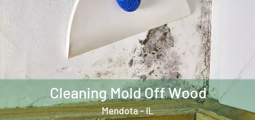  Cleaning Mold Off Wood Mendota - IL