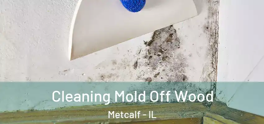  Cleaning Mold Off Wood Metcalf - IL
