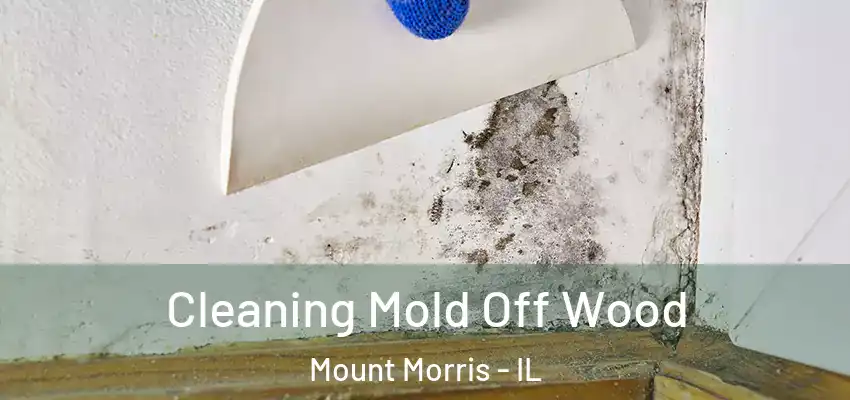  Cleaning Mold Off Wood Mount Morris - IL