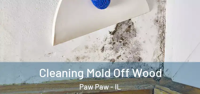  Cleaning Mold Off Wood Paw Paw - IL