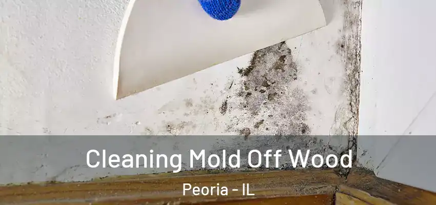  Cleaning Mold Off Wood Peoria - IL