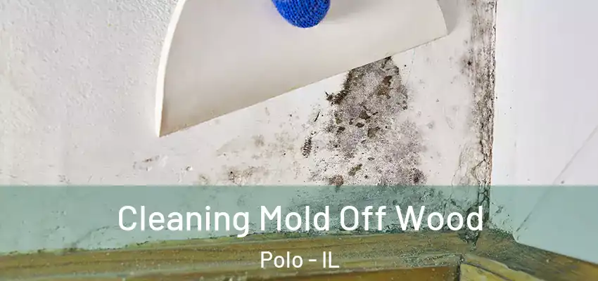  Cleaning Mold Off Wood Polo - IL