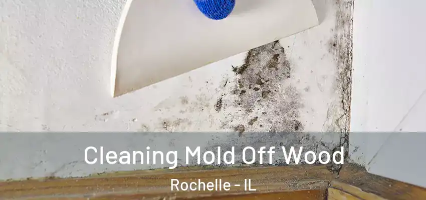  Cleaning Mold Off Wood Rochelle - IL