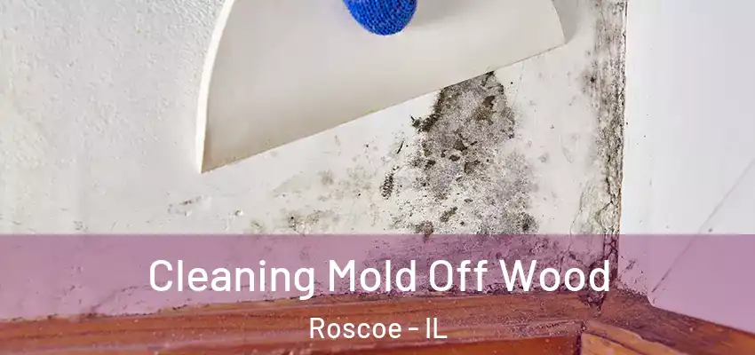  Cleaning Mold Off Wood Roscoe - IL
