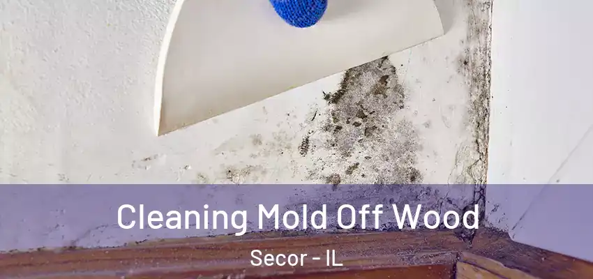 Cleaning Mold Off Wood Secor - IL