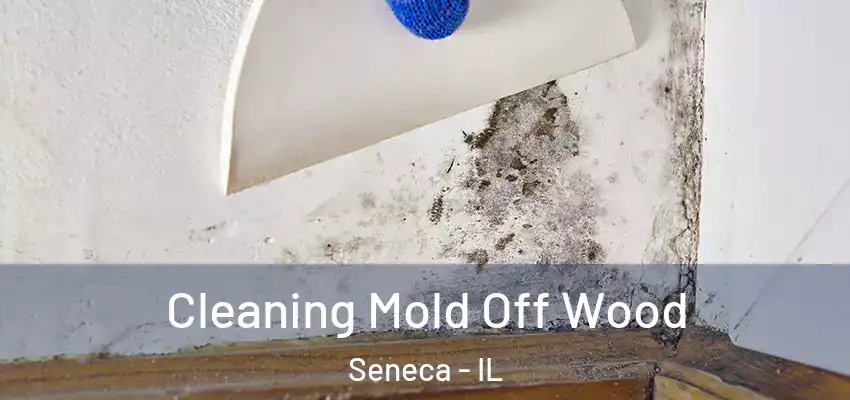  Cleaning Mold Off Wood Seneca - IL