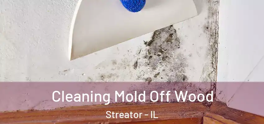  Cleaning Mold Off Wood Streator - IL