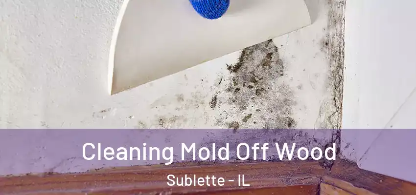  Cleaning Mold Off Wood Sublette - IL