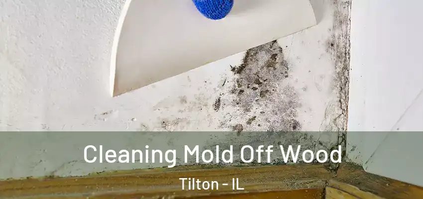  Cleaning Mold Off Wood Tilton - IL