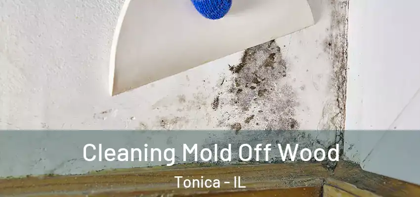  Cleaning Mold Off Wood Tonica - IL