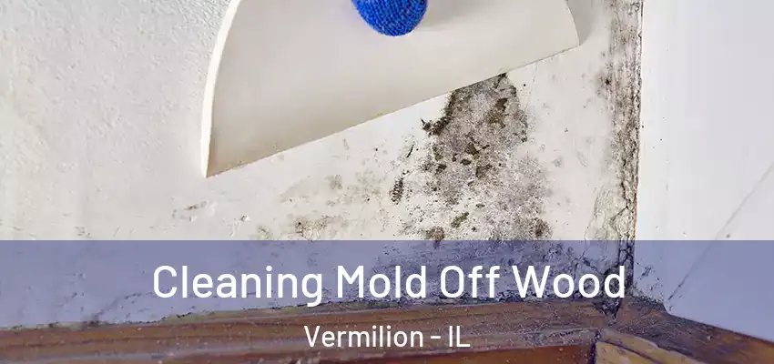  Cleaning Mold Off Wood Vermilion - IL