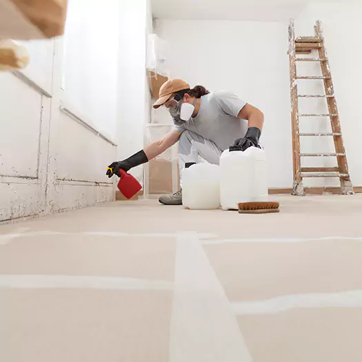 Reliable Mold Stain Remover Specialists in Bloomington, IL