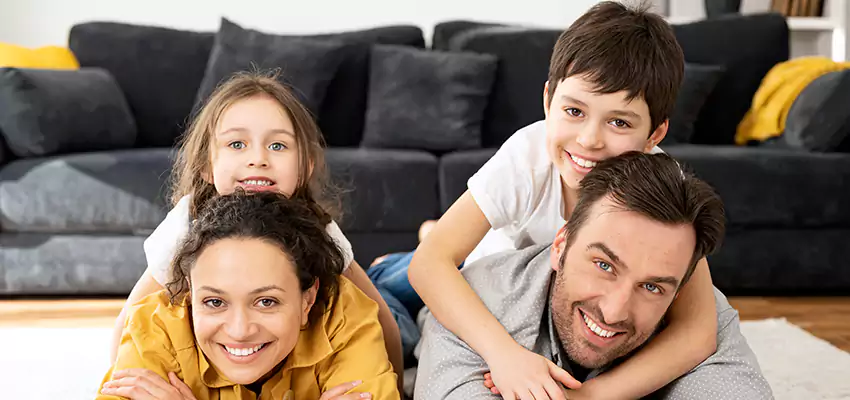 Mold Stain Remover for Wood in Bloomington, IL