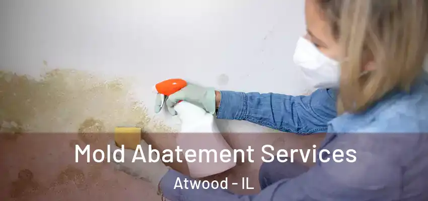  Mold Abatement Services Atwood - IL