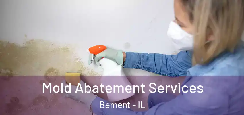 Mold Abatement Services Bement - IL