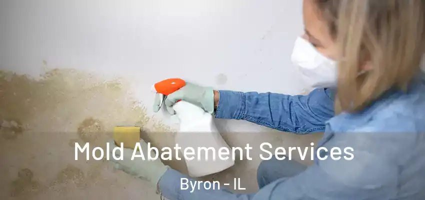  Mold Abatement Services Byron - IL