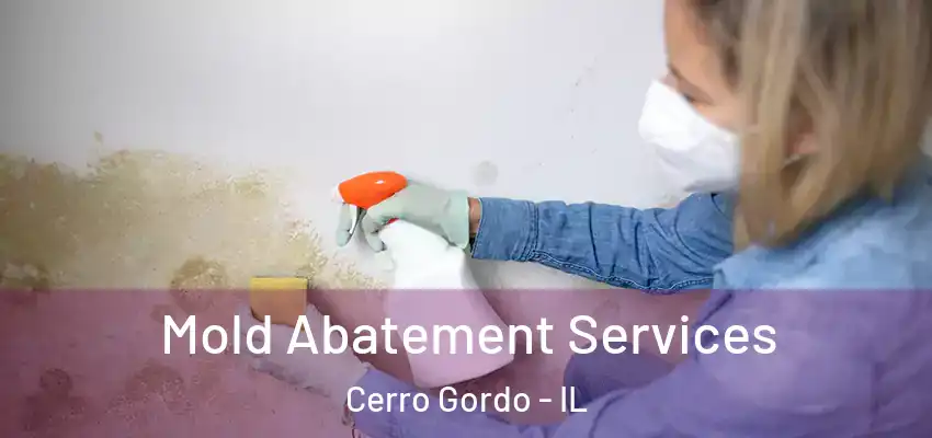  Mold Abatement Services Cerro Gordo - IL