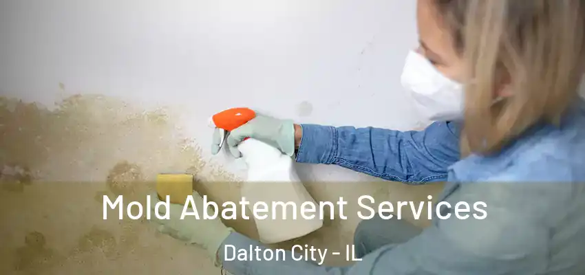  Mold Abatement Services Dalton City - IL