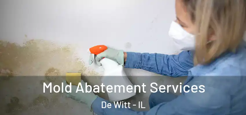  Mold Abatement Services De Witt - IL