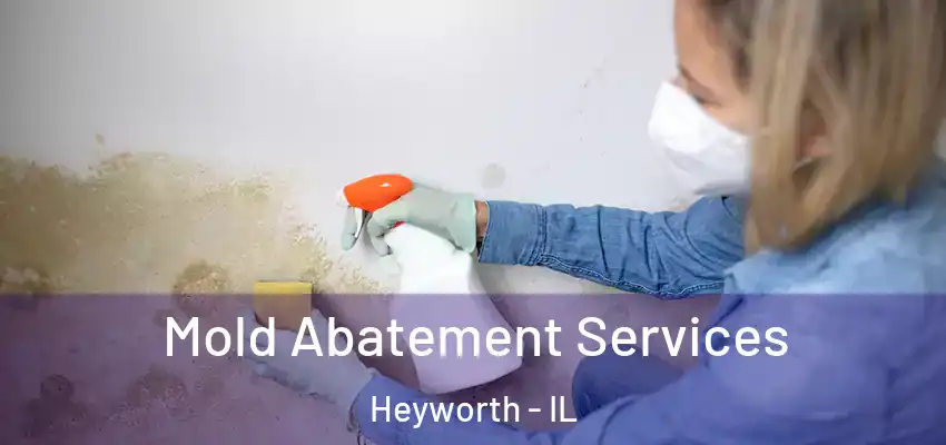  Mold Abatement Services Heyworth - IL