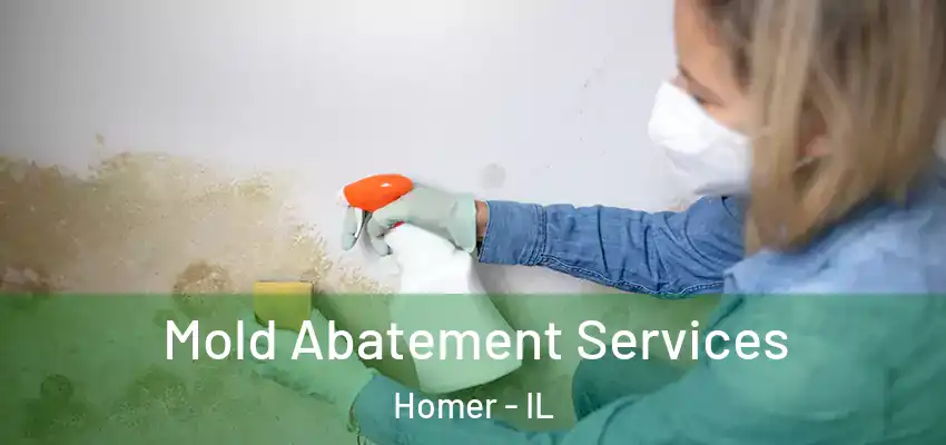 Mold Abatement Services Homer - IL