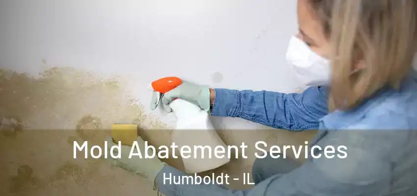  Mold Abatement Services Humboldt - IL