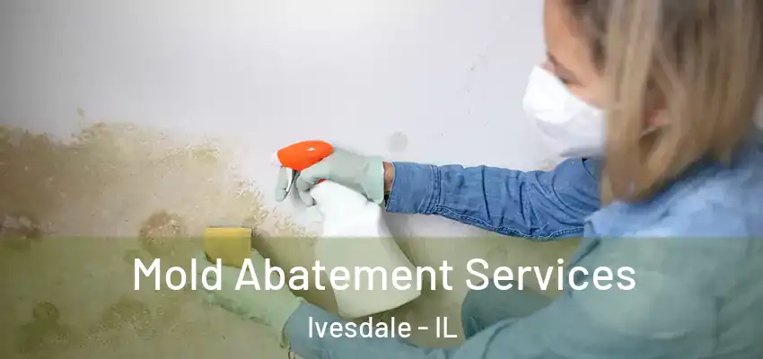  Mold Abatement Services Ivesdale - IL