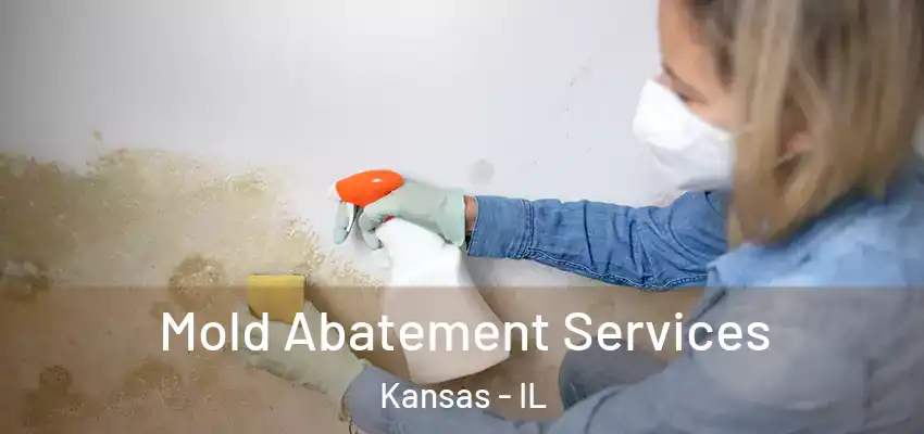  Mold Abatement Services Kansas - IL
