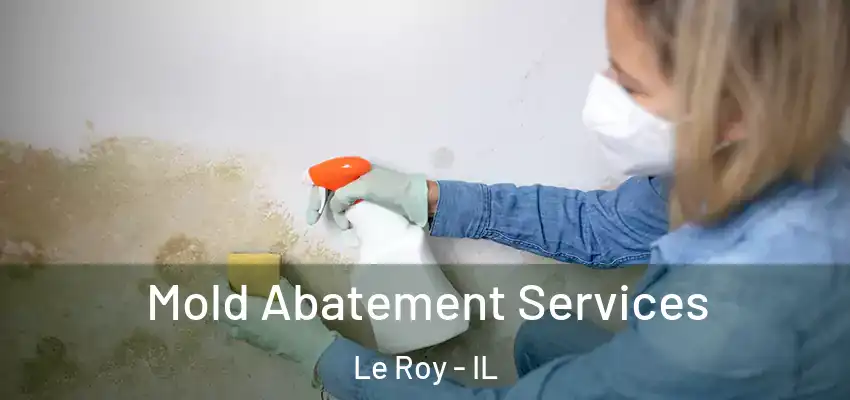  Mold Abatement Services Le Roy - IL