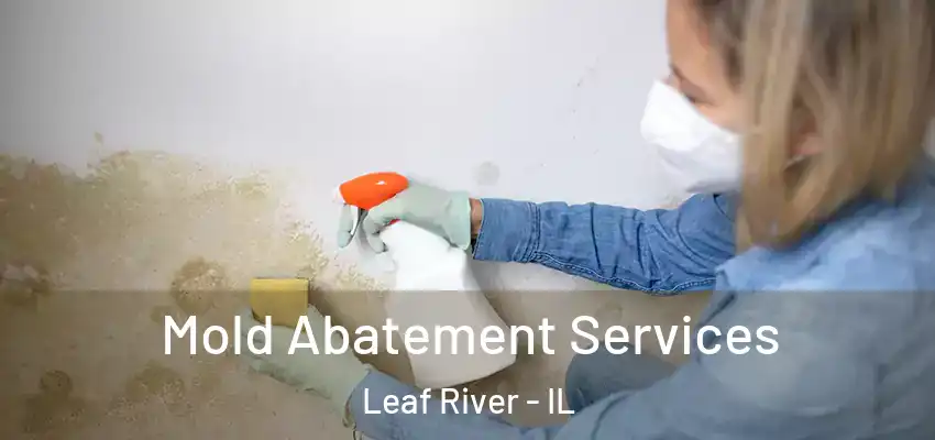  Mold Abatement Services Leaf River - IL