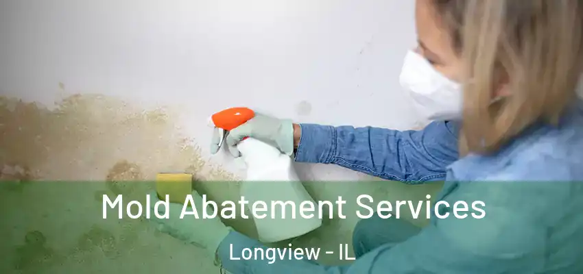  Mold Abatement Services Longview - IL