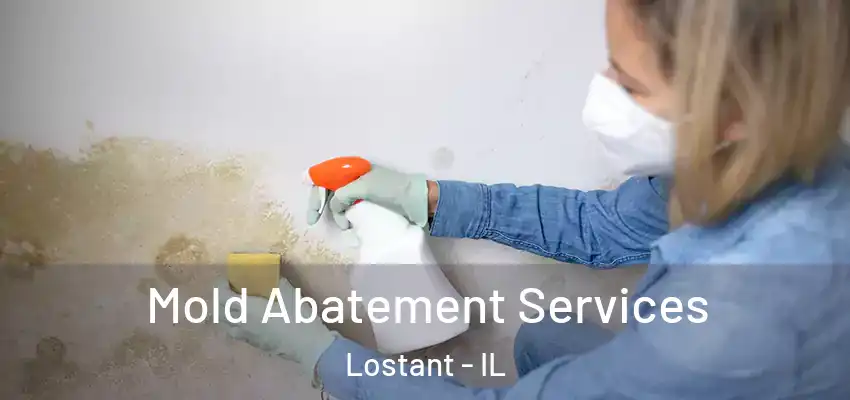 Mold Abatement Services Lostant - IL