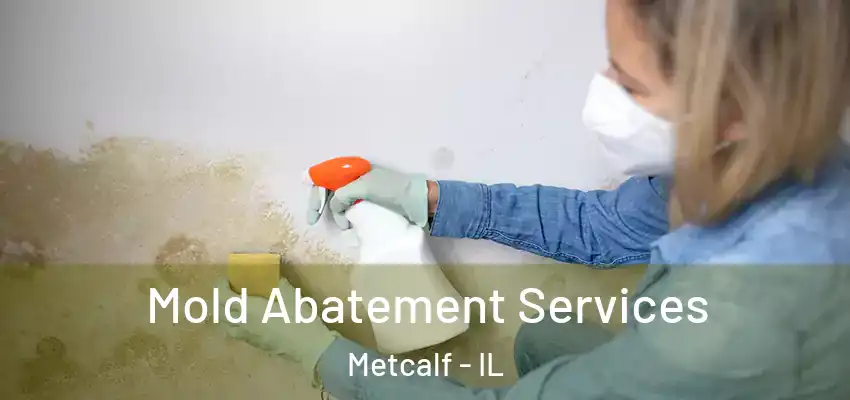  Mold Abatement Services Metcalf - IL