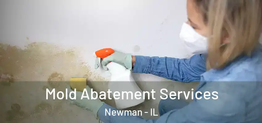  Mold Abatement Services Newman - IL